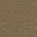 59323 Wallpaper