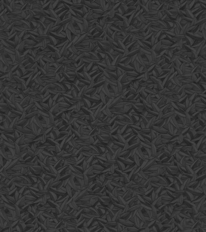 52507 Wallpaper