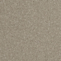 2013-1 NFE Vario linoleum