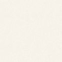 31062 Wallpaper