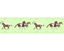 35838-1 Border