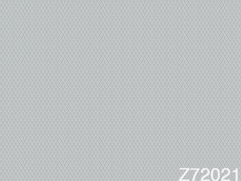 Z72021 Wallpaper