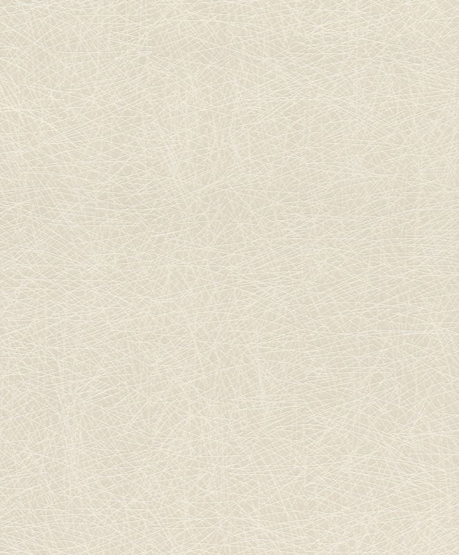541342 Wallpaper