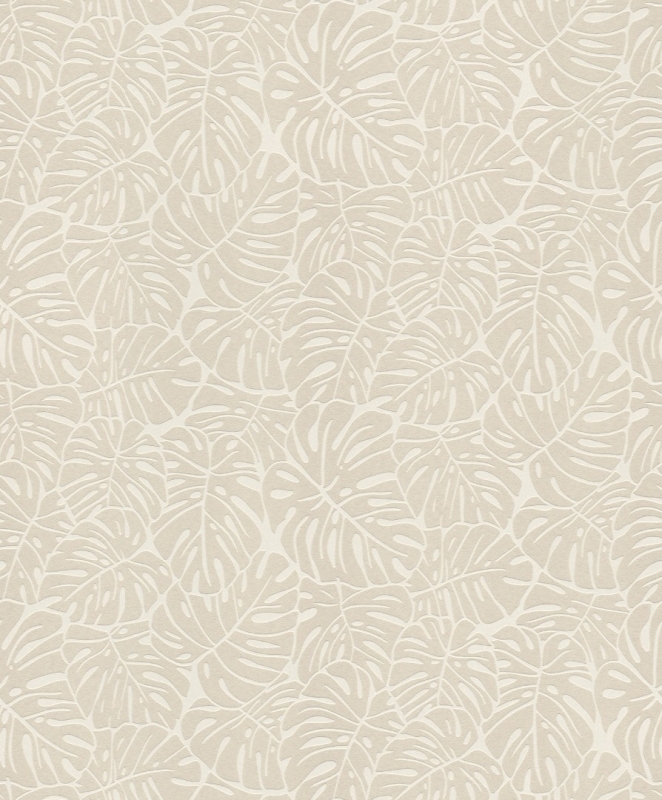541533 Wallpaper