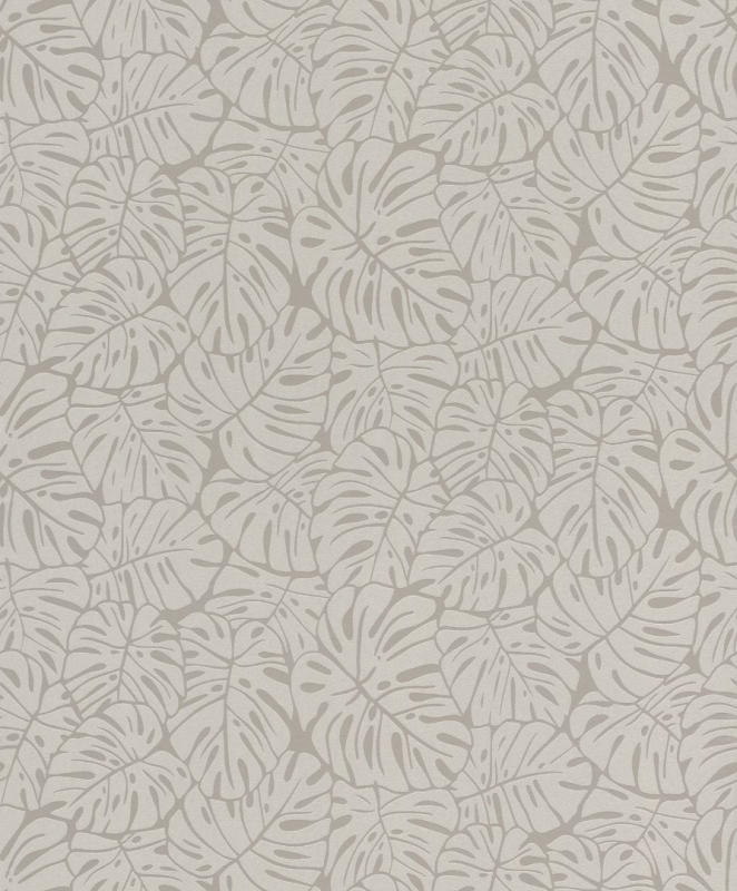 541557 Wallpaper
