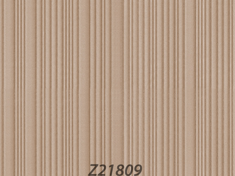 Z21809 Wallpaper