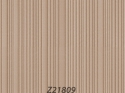 Z21809 Wallpaper