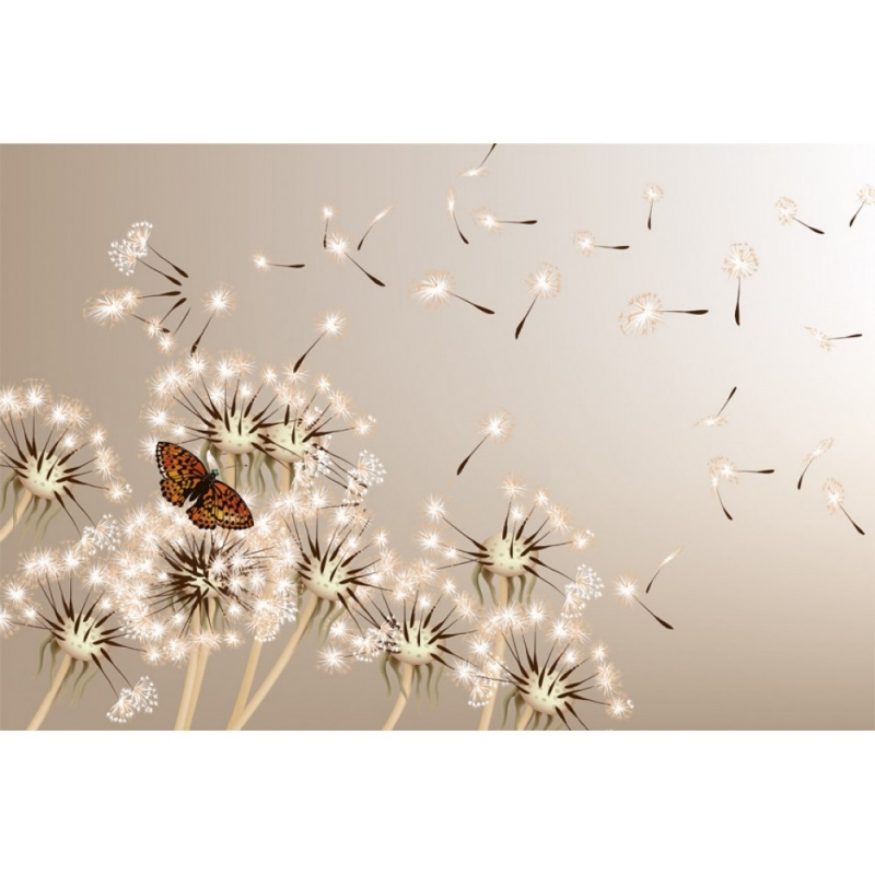 MS-5-0148 Dandelions And Butterfly