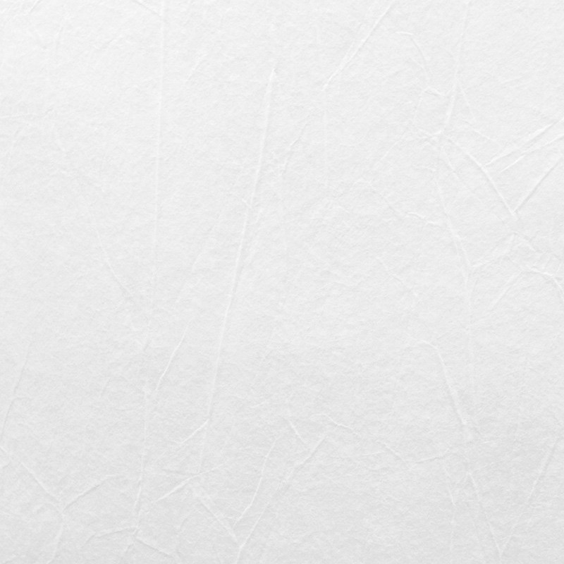 1889 Wallpaper