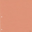 06 Ruļļu žalūzija / oranžs