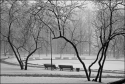 Winter in Dubrovina Park