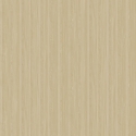 Z57703 Wallpaper