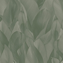Z57705 Wallpaper