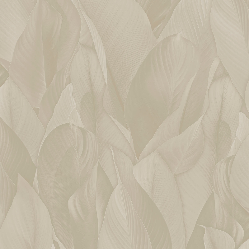 Z57708 Wallpaper