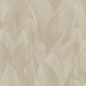 Z57708 Wallpaper
