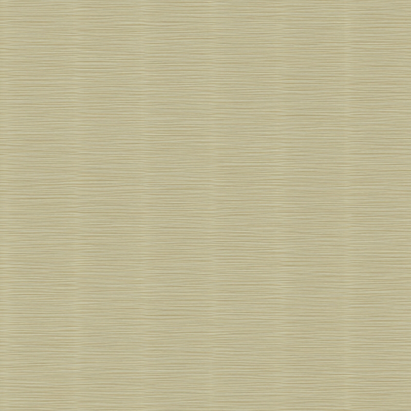 Z57721 Wallpaper