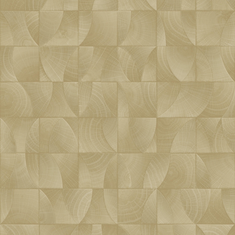Z57730 Wallpaper