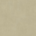 Z57742 Wallpaper