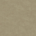 Z57743 Wallpaper