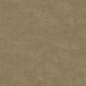 Z57744 Wallpaper