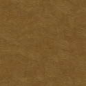Z57747 Wallpaper