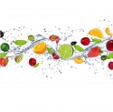 MP-2-0239 Fruit in water
