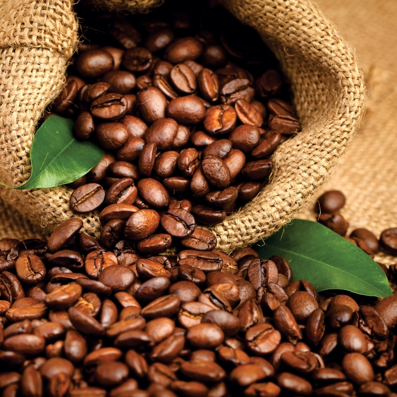 FL-008 Сoffee beans