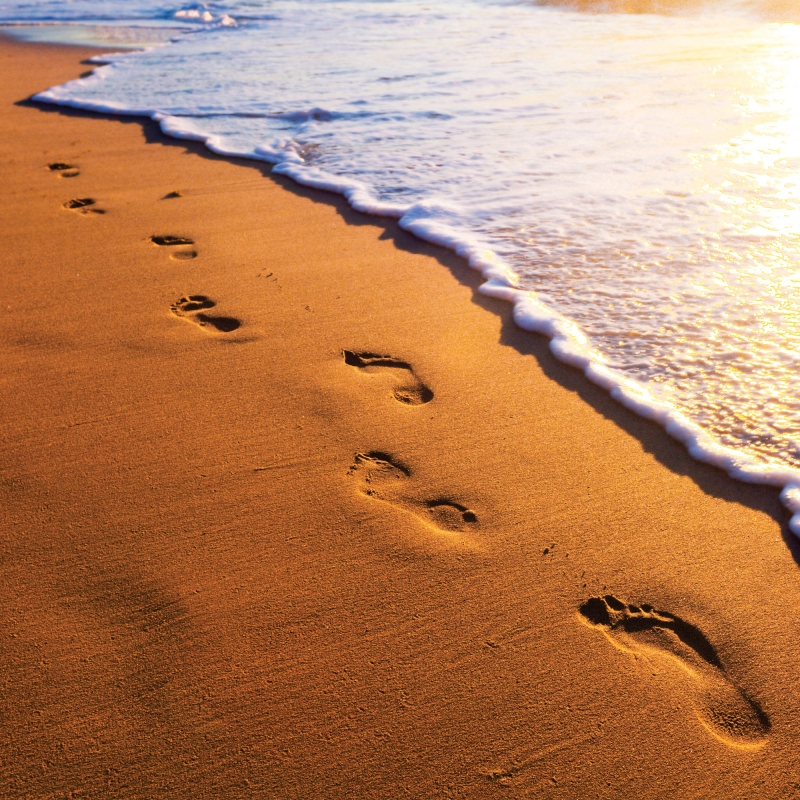 FL-170-007 Footprints in the sand