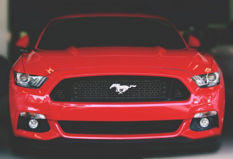 Mustangs