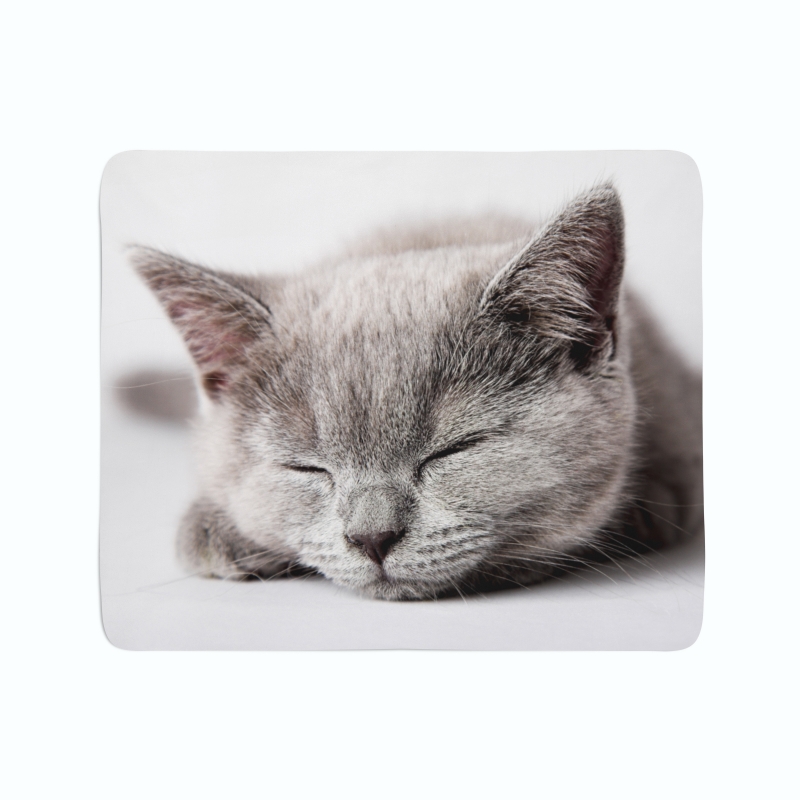 Fleece Blanket Sleeping Cat