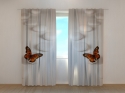 Photo curtains Zen Butterfly