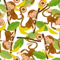 Monkeys