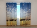 Photo curtains Elephants in Savanna