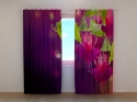 Photo curtains Fuchsia Flowers