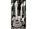 FL-85-023 Guitars