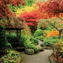 FL-255-027 Japanese garden
