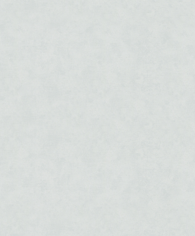 32410 Oбои