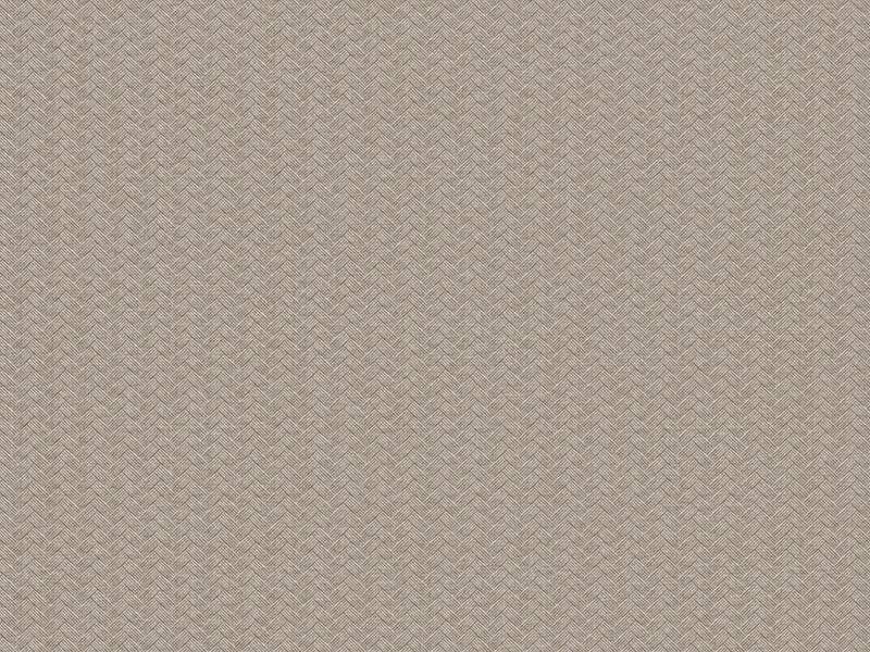 Z21105 Wallpaper