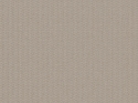 Z21105 Wallpaper
