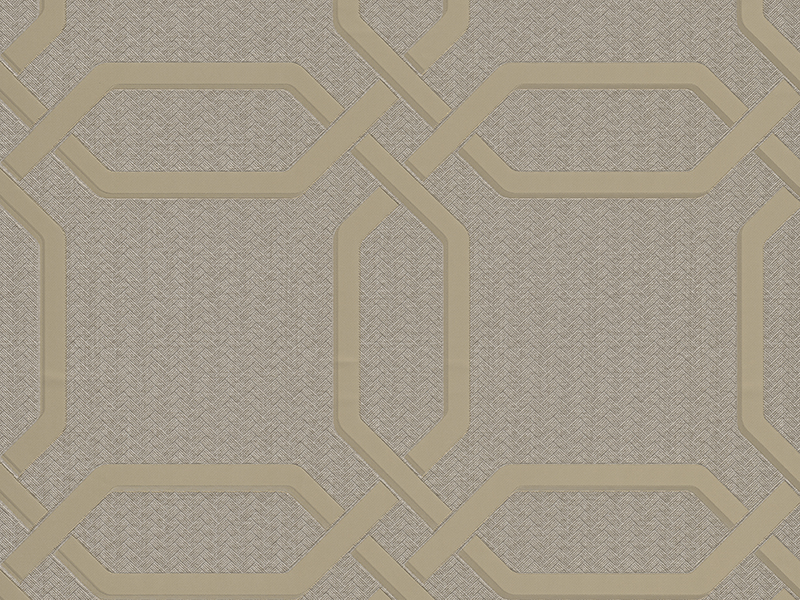 Z21106 Wallpaper