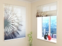 Roman Blind Amazing Dandelion