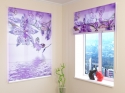 Roman Blind Violet orchid