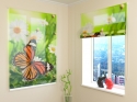 Roman Blind  Butterfly and Camomiles