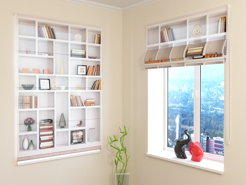 Roman Blind White Bookcase