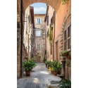 Street in Tuscany