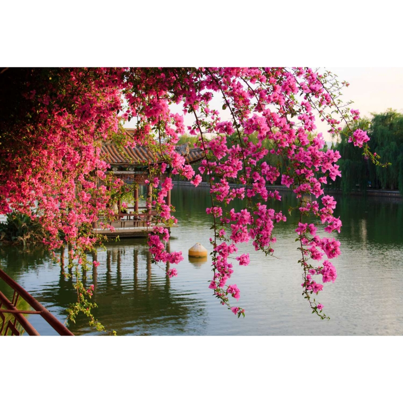 Park in China