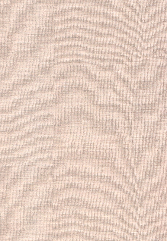 Veneto fon 05-17037-61 Tapete