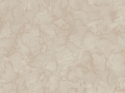 M31934 Wallpaper