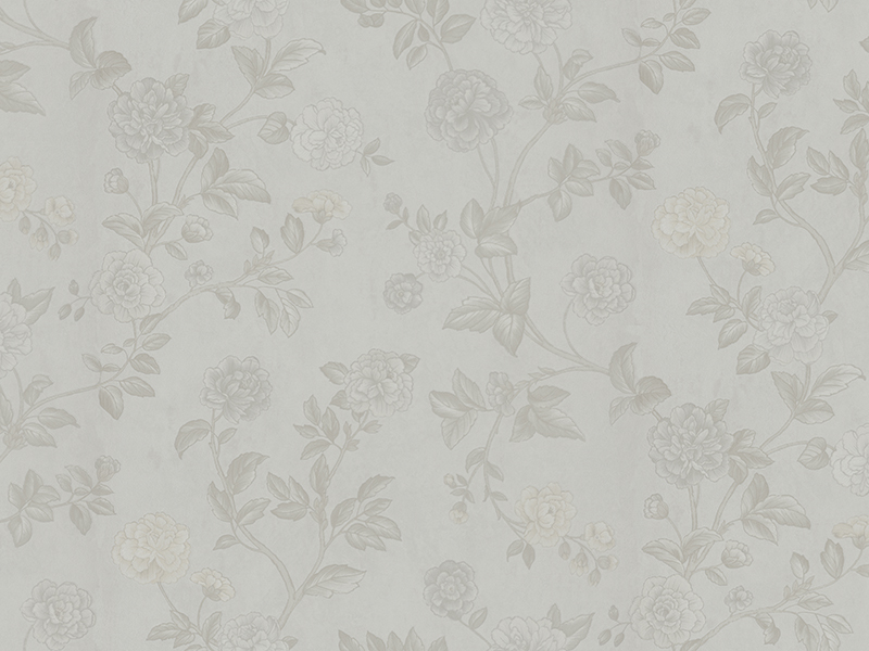 Z66805 Wallpaper