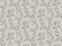 Z66856 Wallpaper